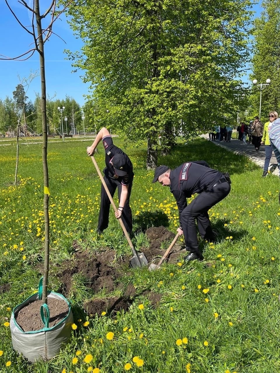 Дворы электрогорск. Субботник. Городской субботник. Субботник 2020. Субботник в городе.