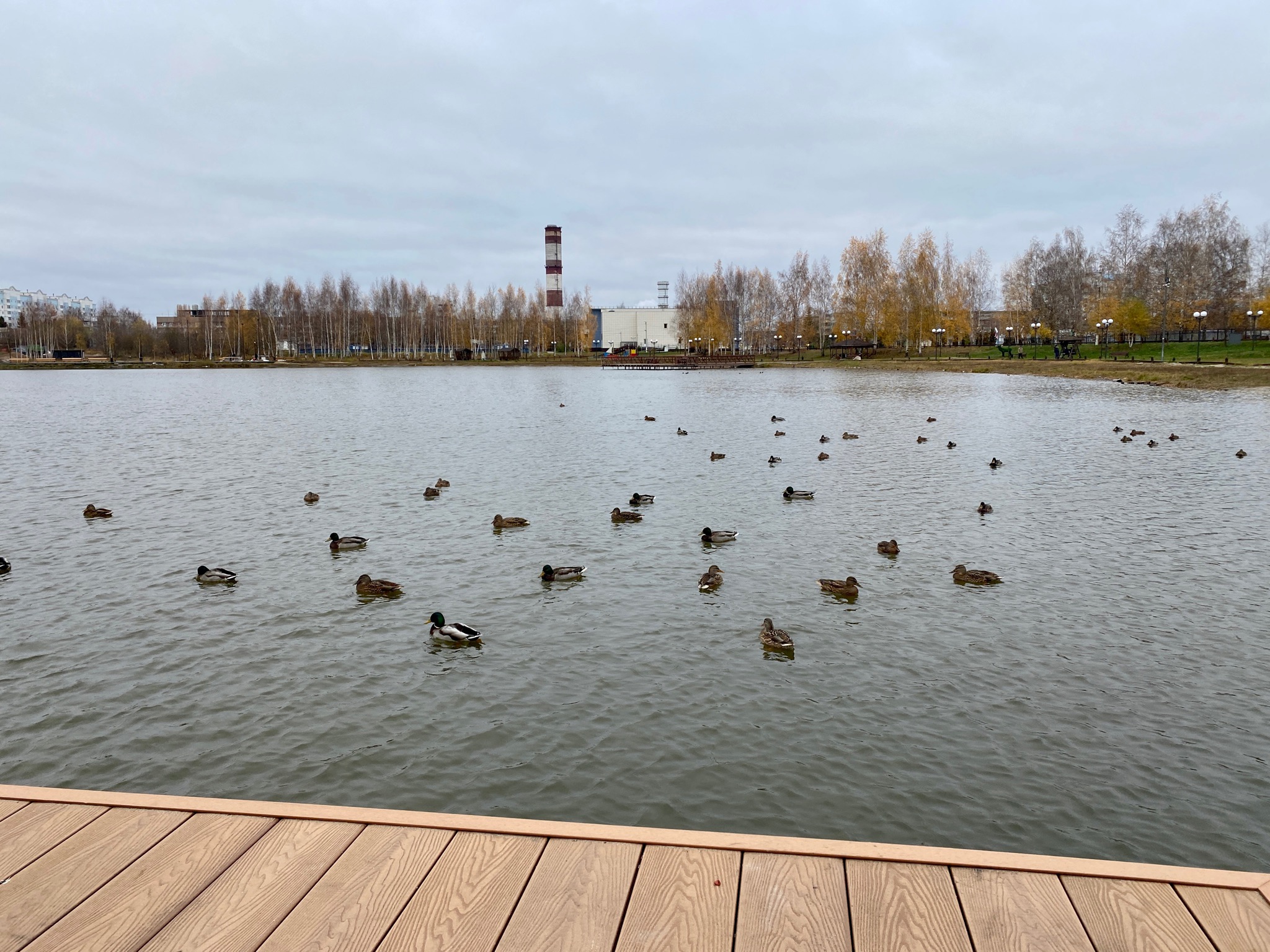 Электрогорск стахановское озеро фото