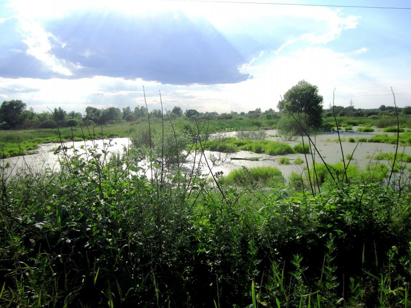 Вода в ногинском районе