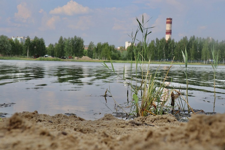 Электрогорск стахановское озеро фото